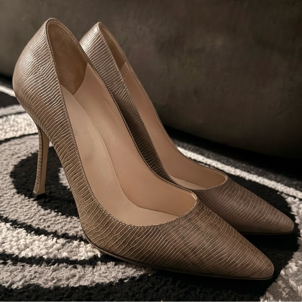 Sergio Rossi Pointed Toe Pumps in Brown